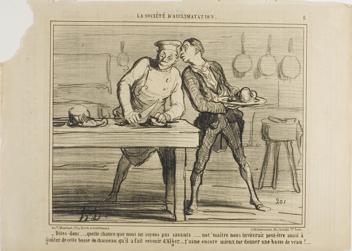 “- I am glad that we are not scientists, otherwise Monsieur would also invite us to taste this camel hump he ordered from Algeria… I'd rather enjoy a meal of veal hump!,” plate 8 from La Sopciété D'acclimatation by Honoré-Victorin Daumier, print, 1858