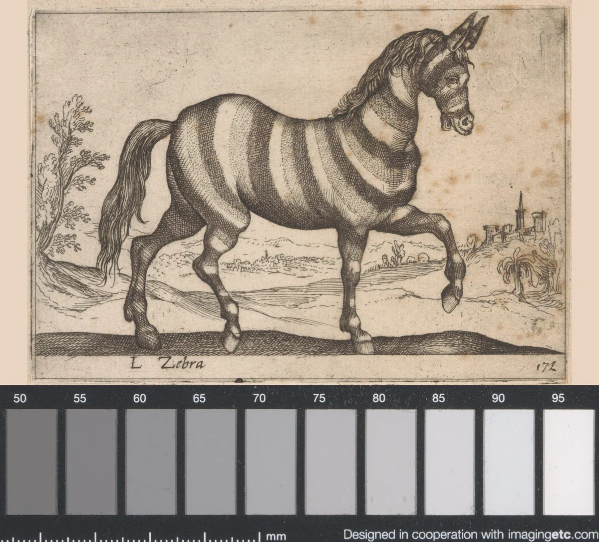 Zebra by Antonio Tempesta, print, 1565-1630