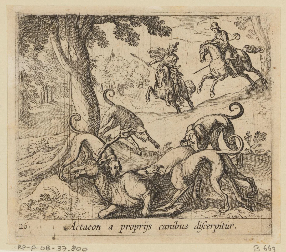Actaeon door zijn honden verscheurd by Antonio Tempesta, print, 1606