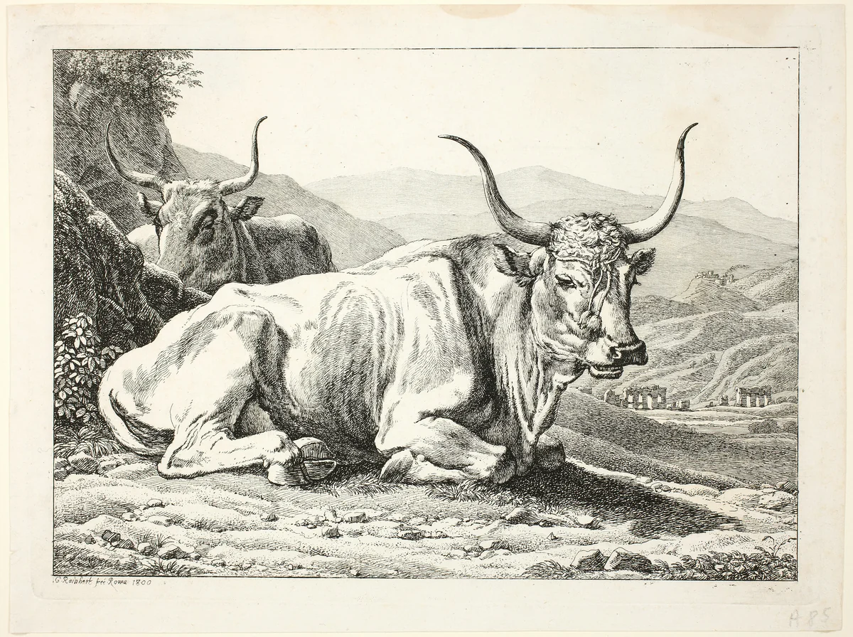Two Roman Bulls Resting, from Die Zwiete Thierfolge by Johann Christian Reinhart, print, 1800