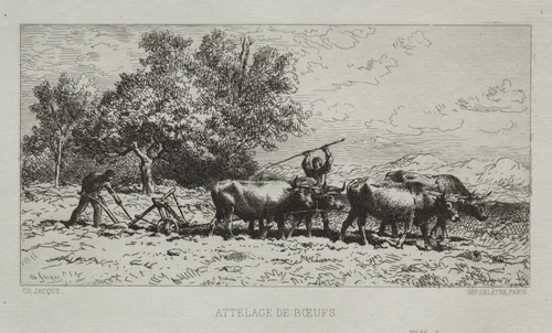 Team of Oxen by Charles-Émile Jacque, print, 1868