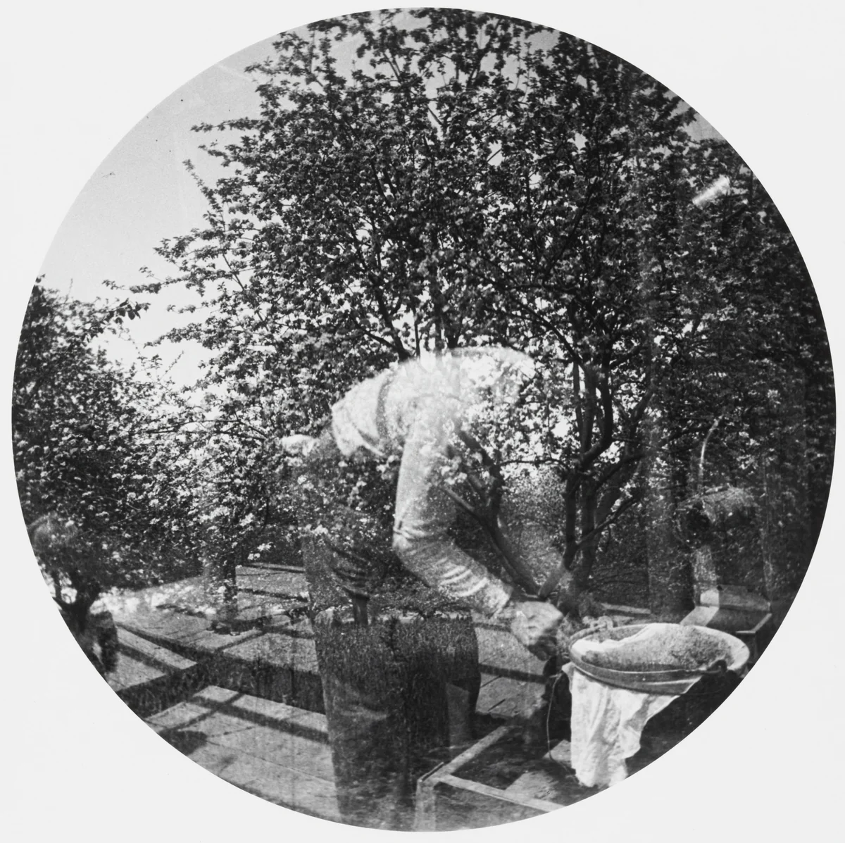 Untitled by Horace M. Engle, photograph, 1888