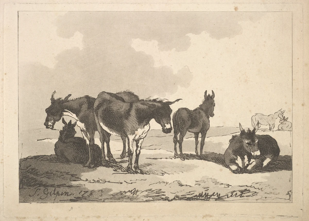 A Group of Five Donkeys, Three Standing, Two Lying by Thomas Rowlandson, print, 1783-1787
