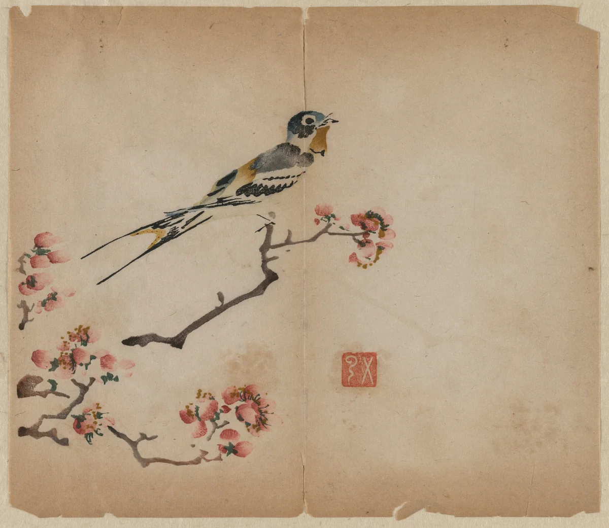 Swallow on Flowering Peach Branch by Unknown, print, 1368-1644
