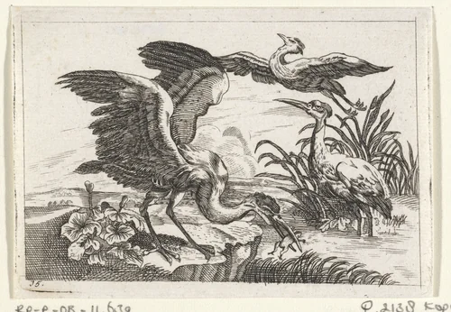 Drie reigers by anonymous, print, 1654-1712