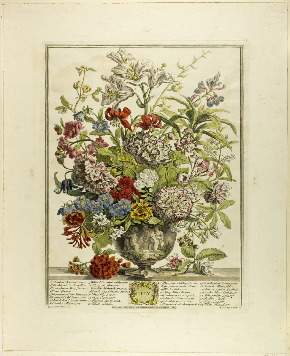 July, from Twelve Months of Flowers by Henry Fletcher
Peter Casteels III, print, 1730