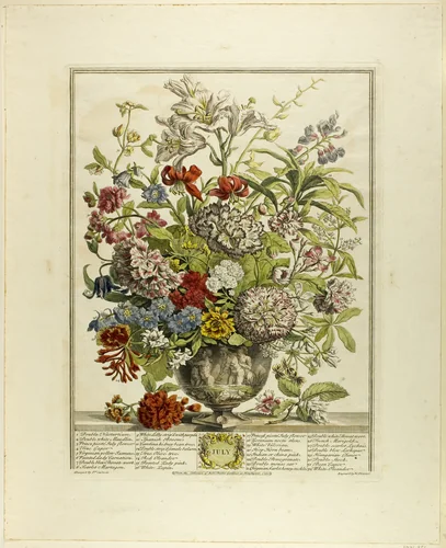 July, from Twelve Months of Flowers by Henry Fletcher
Peter Casteels III, print, 1730