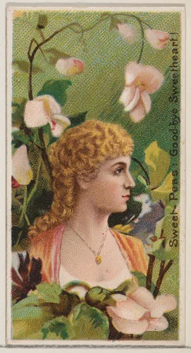 Sweet-Peas: Goodbye Sweetheart!, from the series Floral Beauties and Language of Flowers (N75) for Duke brand cigarettes by American Tobacco Company, print, 1892
