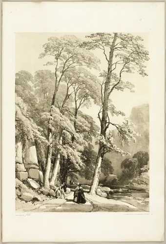 Sycamore, from The Park and the Forest by James Duffield Harding, print, 1841