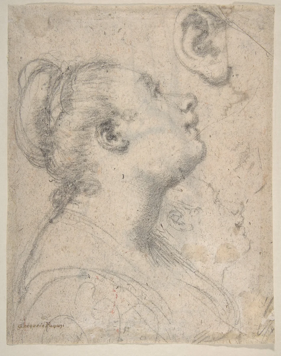 The Head and Shoulders of a Woman in Profile; Separate Studies of Her Head and Ear (recto); Fragment of Drapery Study, Profile of Architectural Molding (verso) by Gregorio Pagani, drawing, 1592