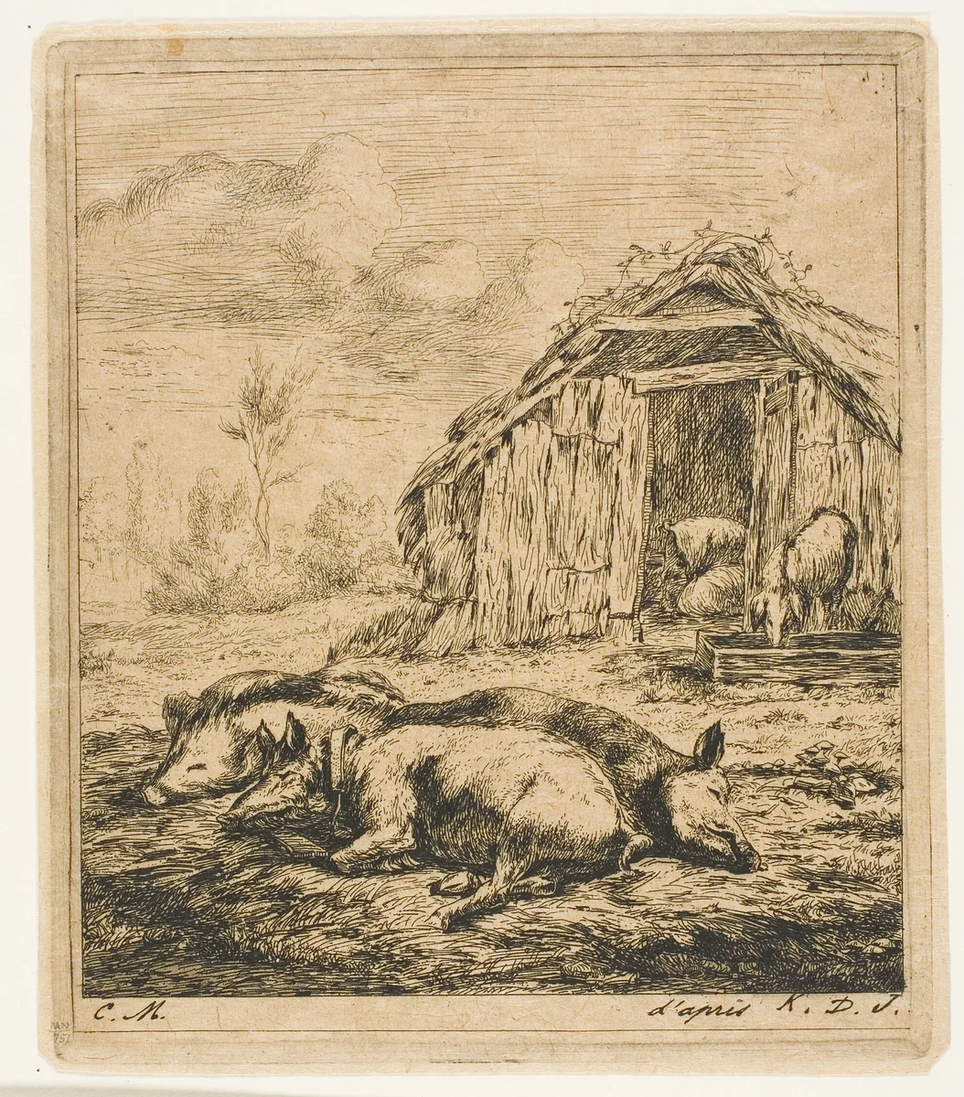 Three Pigs Lying in Front of a Shed by Charles Meryon, print, 1850