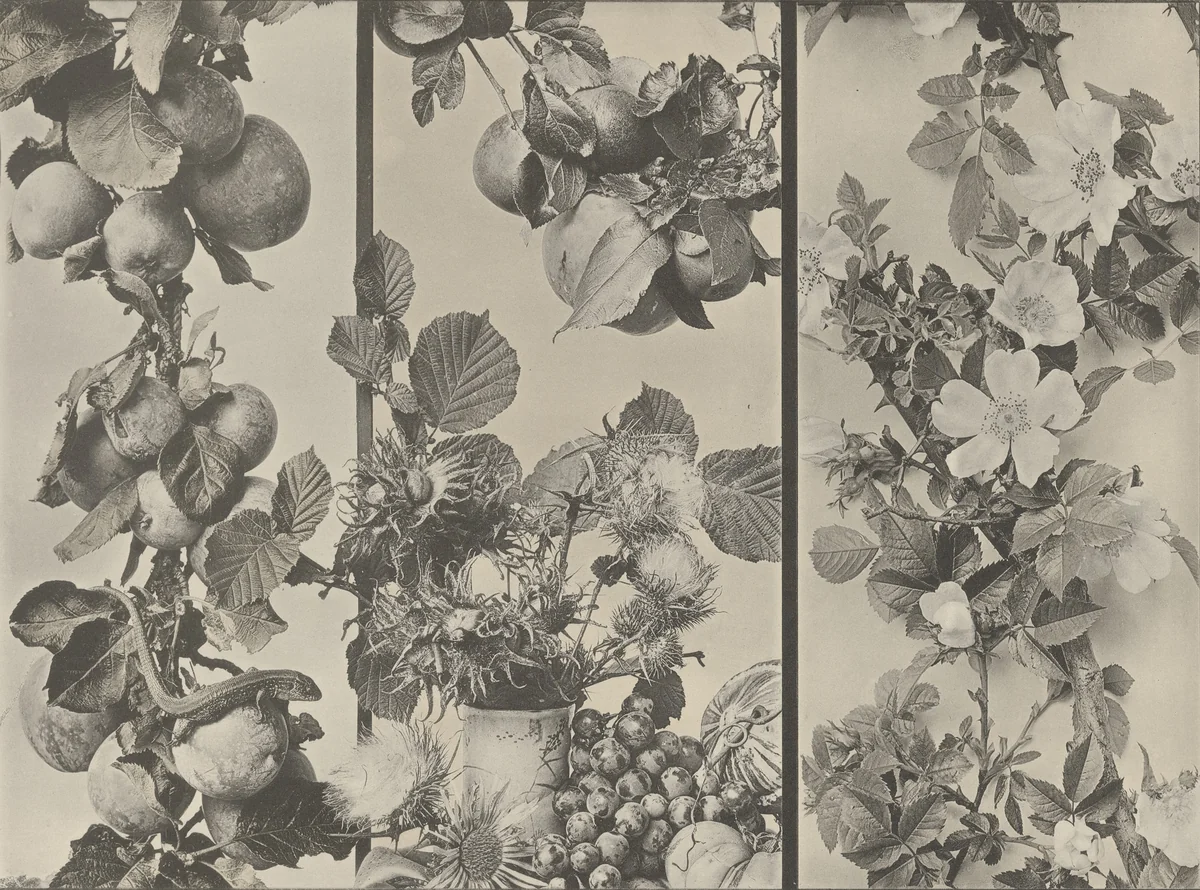 Page from Festons und Dekorative Gruppen by Unidentified Photographer, photograph, 1893