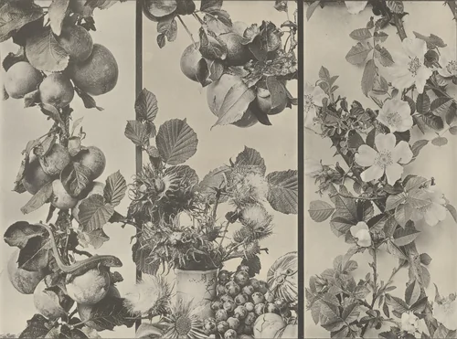 Page from Festons und Dekorative Gruppen by Unidentified Photographer, photograph, 1893