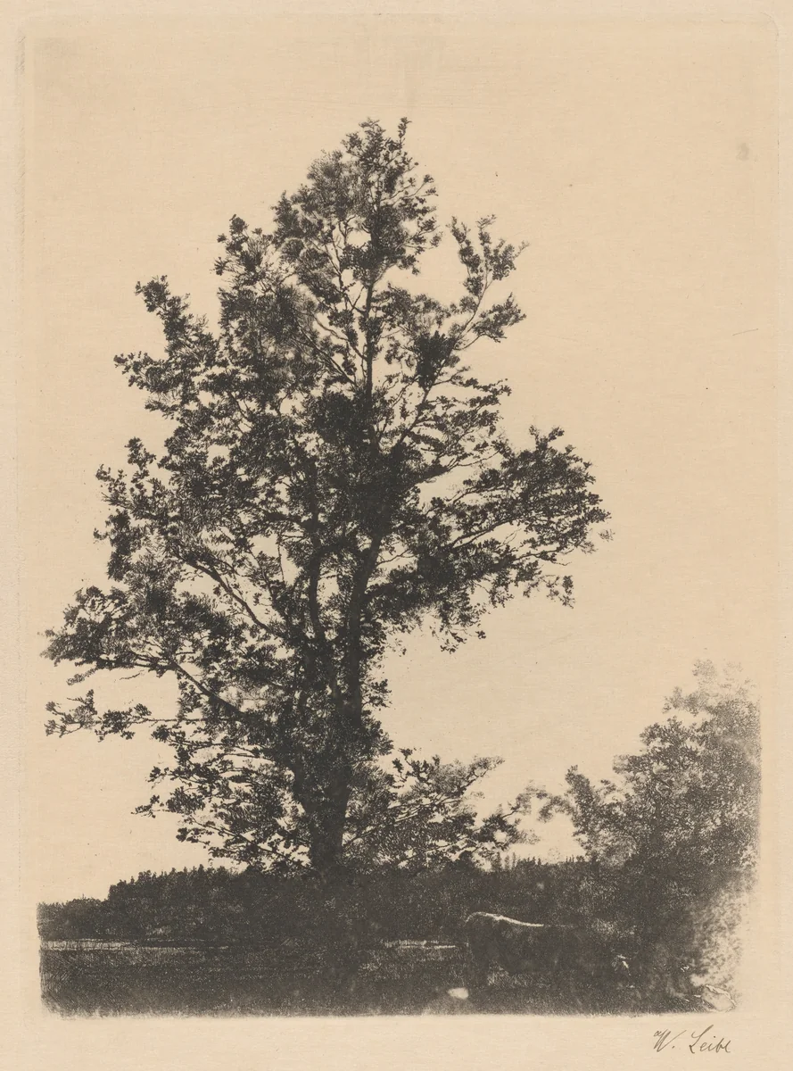 The Large Tree by Wilhelm Leibl, print, 1874-1875