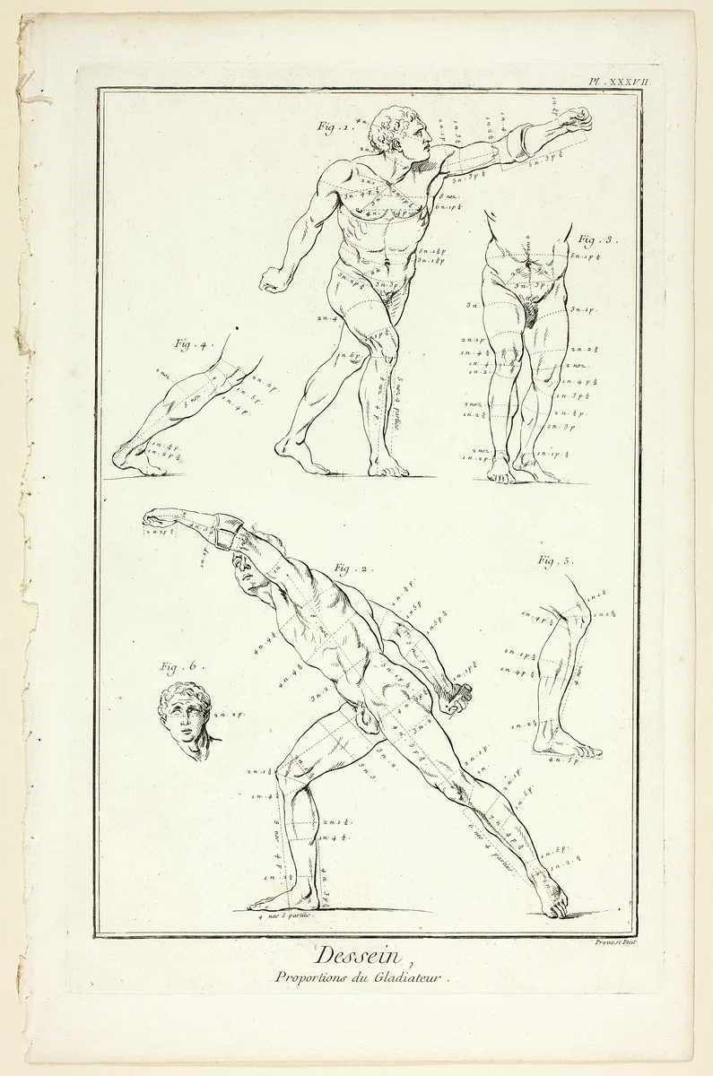 Design: Proportions of the Gladiator, from Encyclopédie by Benoît-Louis Prévost, print, 1762-1777