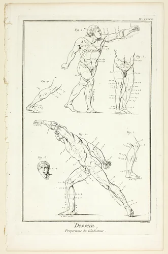 Design: Proportions of the Gladiator, from Encyclopédie by Benoît-Louis Prévost, print, 1762-1777