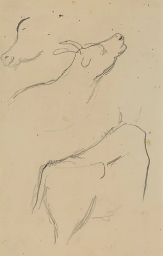 Studies of a Cow [verso] by Paul Gauguin, drawing, 1884-1888