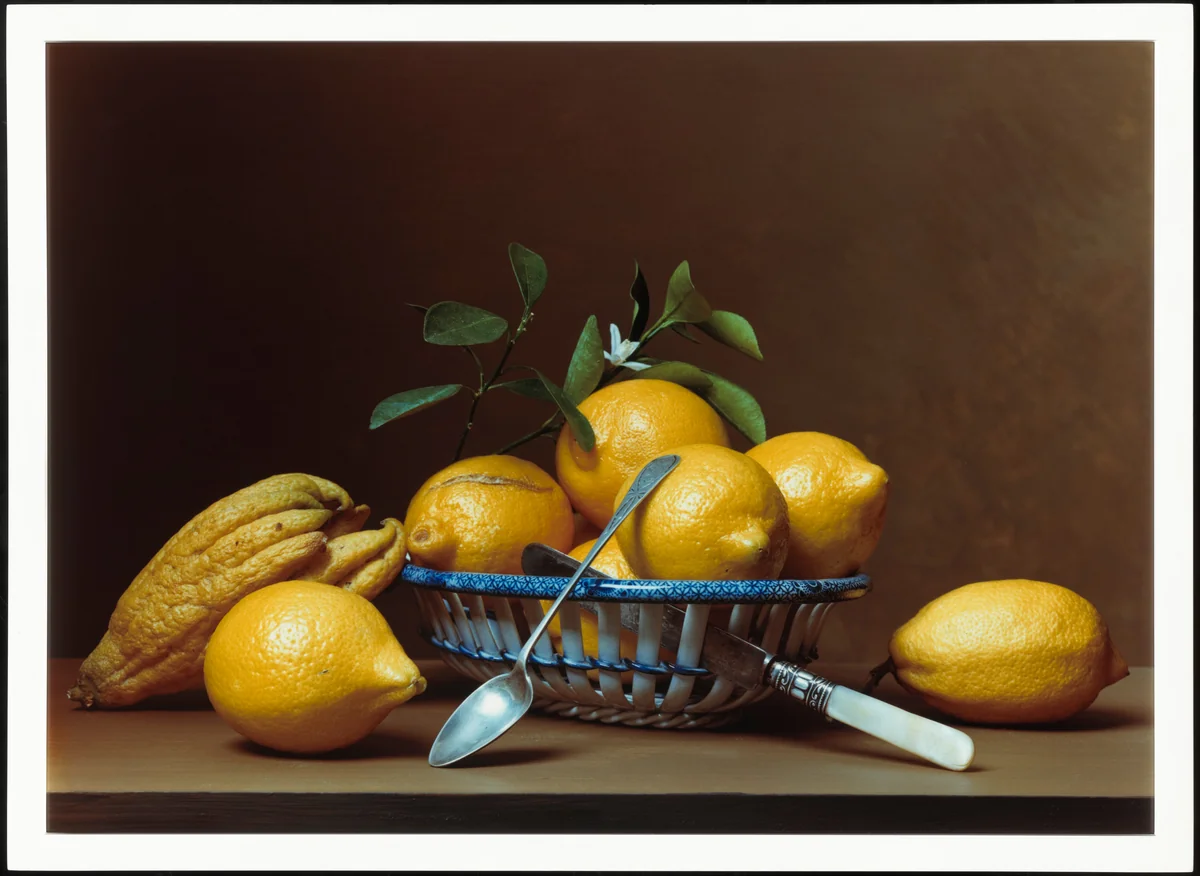 Lemons by Sharon Core, photograph, 2007