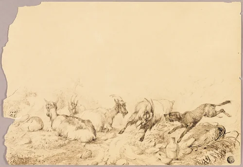 Mountain Goats and Dog by Allwaert of Ghent, drawing, 1700-1799