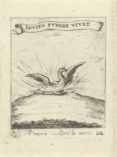 Feniks by Albert Flamen, print, 1672
