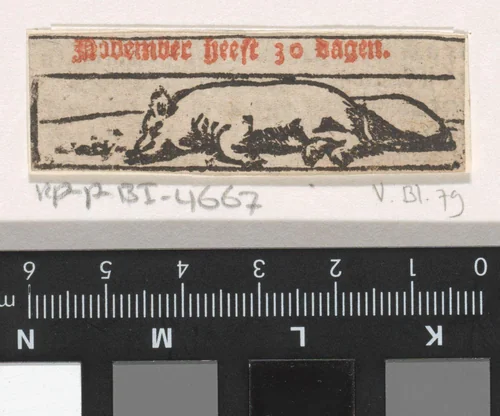 November by Dirck de Bray, print, 1672