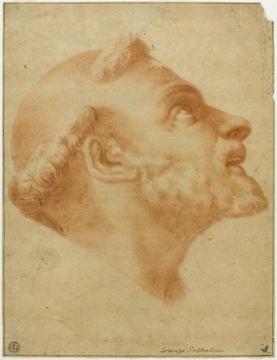 Upturned Head of Saint Dominic by Lorenzo Sabbatini, drawing, 1550-1799