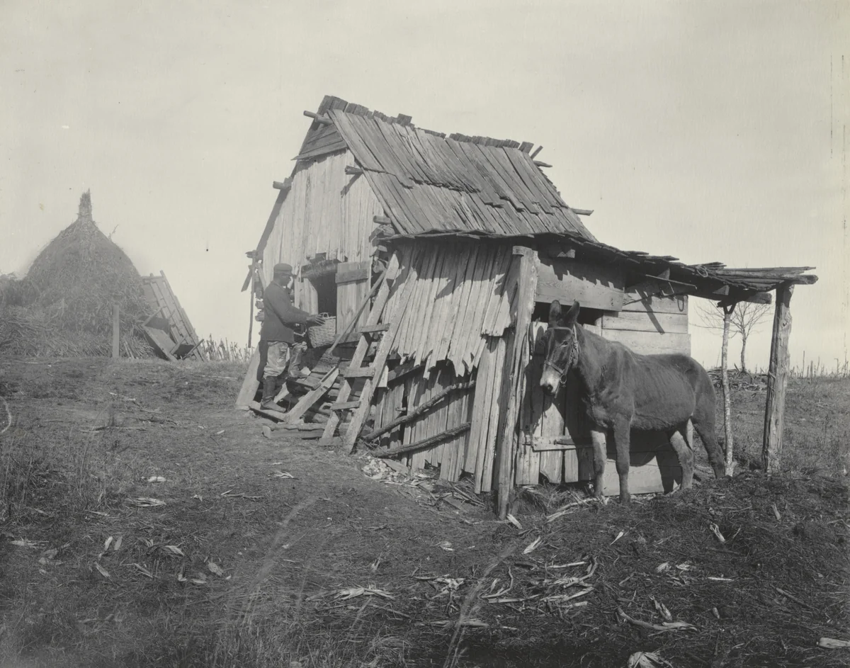 Barn on a "one mule farm." by Frances Benjamin Johnston, photograph, 1899