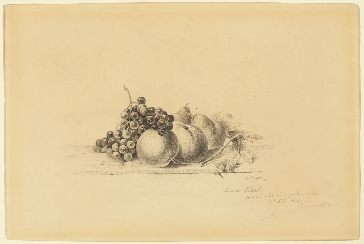 Still Life with Fruit by James McDougal Hart, drawing, 1856