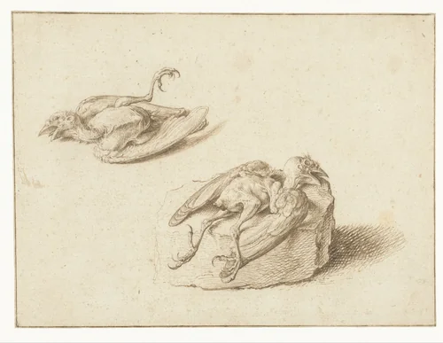 Twee studies van een dood vogeltje by Jacques de Gheyn, drawing, 1575-1625