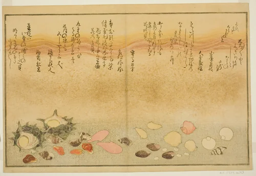 Shiro-gai, namima-gashiwa, makura-gai, iro-gai, aza-gai, sadae-gai, from the illustrated book "Gifts from the Ebb Tide (Shiohi no tsuto)" by Kitagawa Utamaro (喜多川歌麿), print, 1789