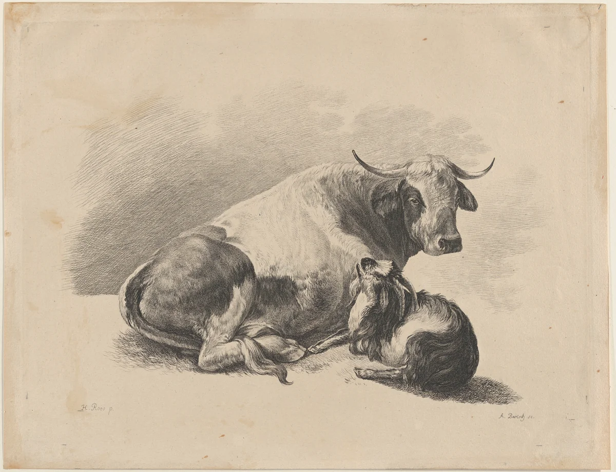 Cow and goat lying down by Adam von Bartsch, print, 1800-1801