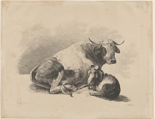 Cow and goat lying down by Adam von Bartsch, print, 1800-1801