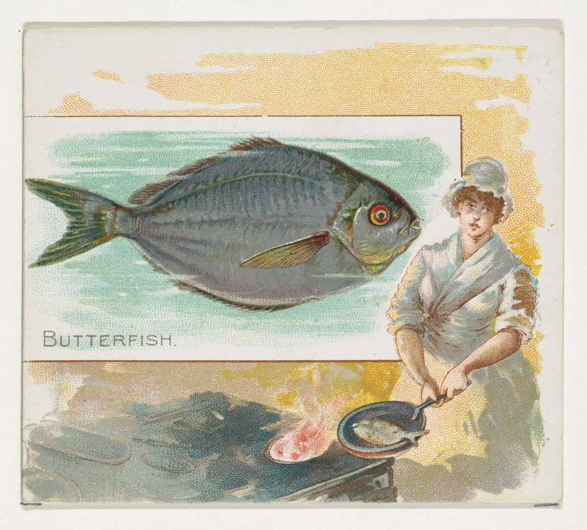 Butterfish, from Fish from American Waters series (N39) for Allen & Ginter Cigarettes by Allen & Ginter, print, 1889