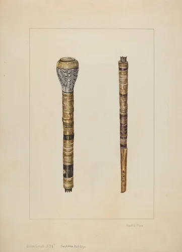 Cowhorn Cane by Frank J. Mace, index of american design, 1935-1942