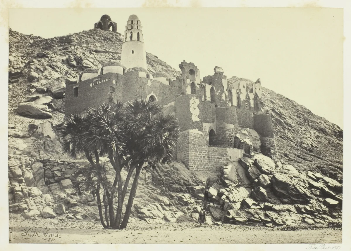 Doum Palm and Ruined Mosque, Philæ by Francis Frith, photograph, 1857