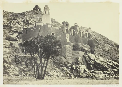 Doum Palm and Ruined Mosque, Philæ by Francis Frith, photograph, 1857