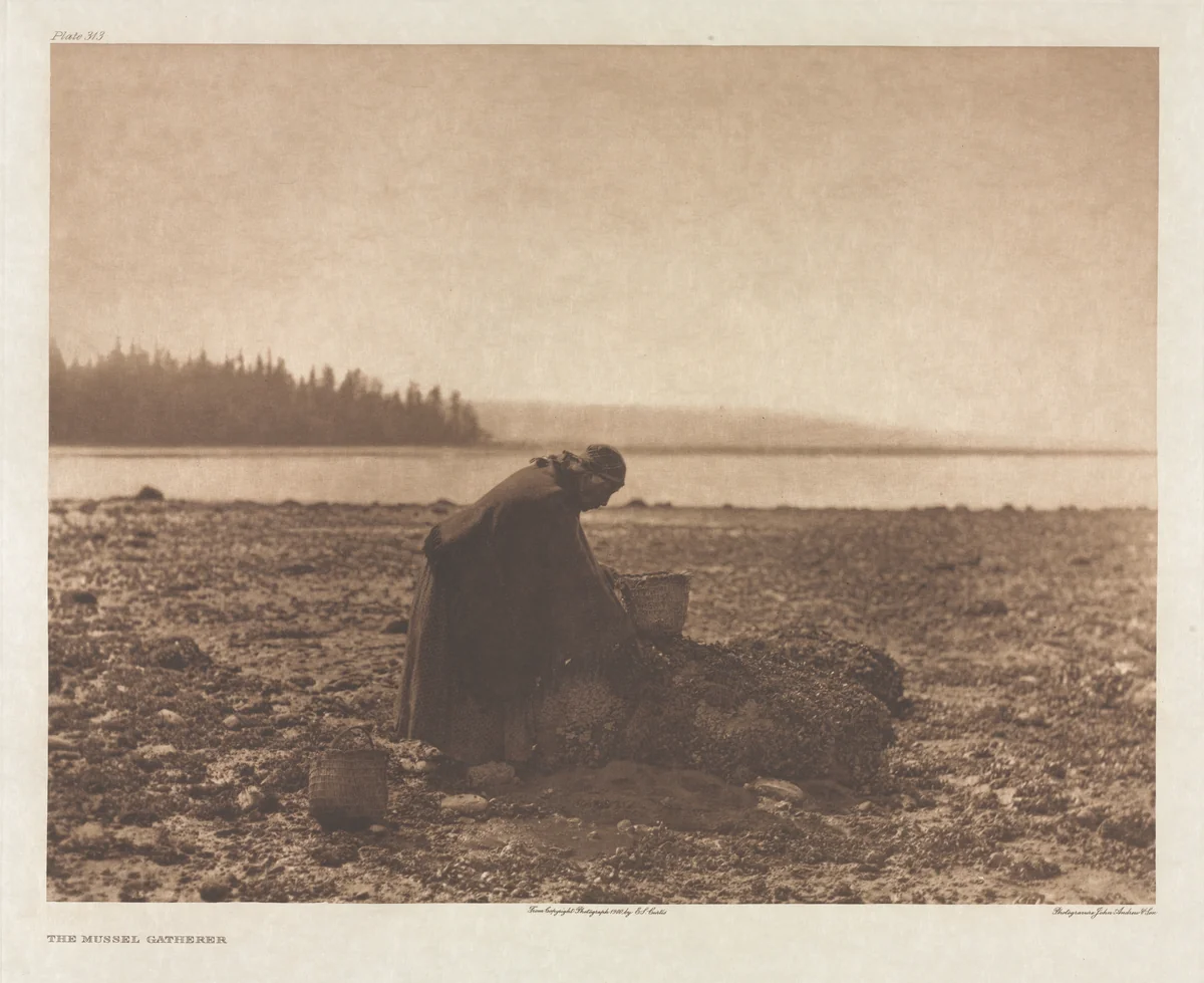 Portfolio IX, Plate 313: The Mussel Gatherer by Edward Curtis, other, 1900