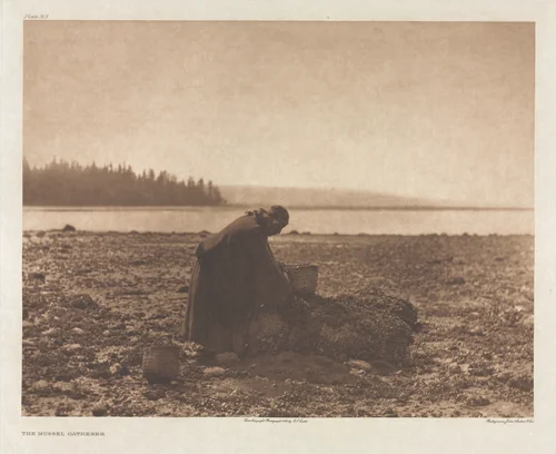 Portfolio IX, Plate 313: The Mussel Gatherer by Edward Curtis, other, 1900