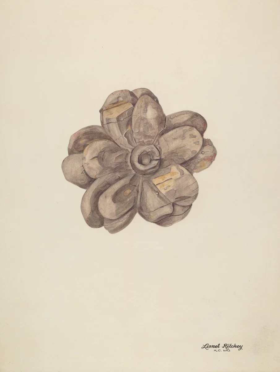 Wood Carving - Flower by Lionel Ritchey, index of american design, 1939