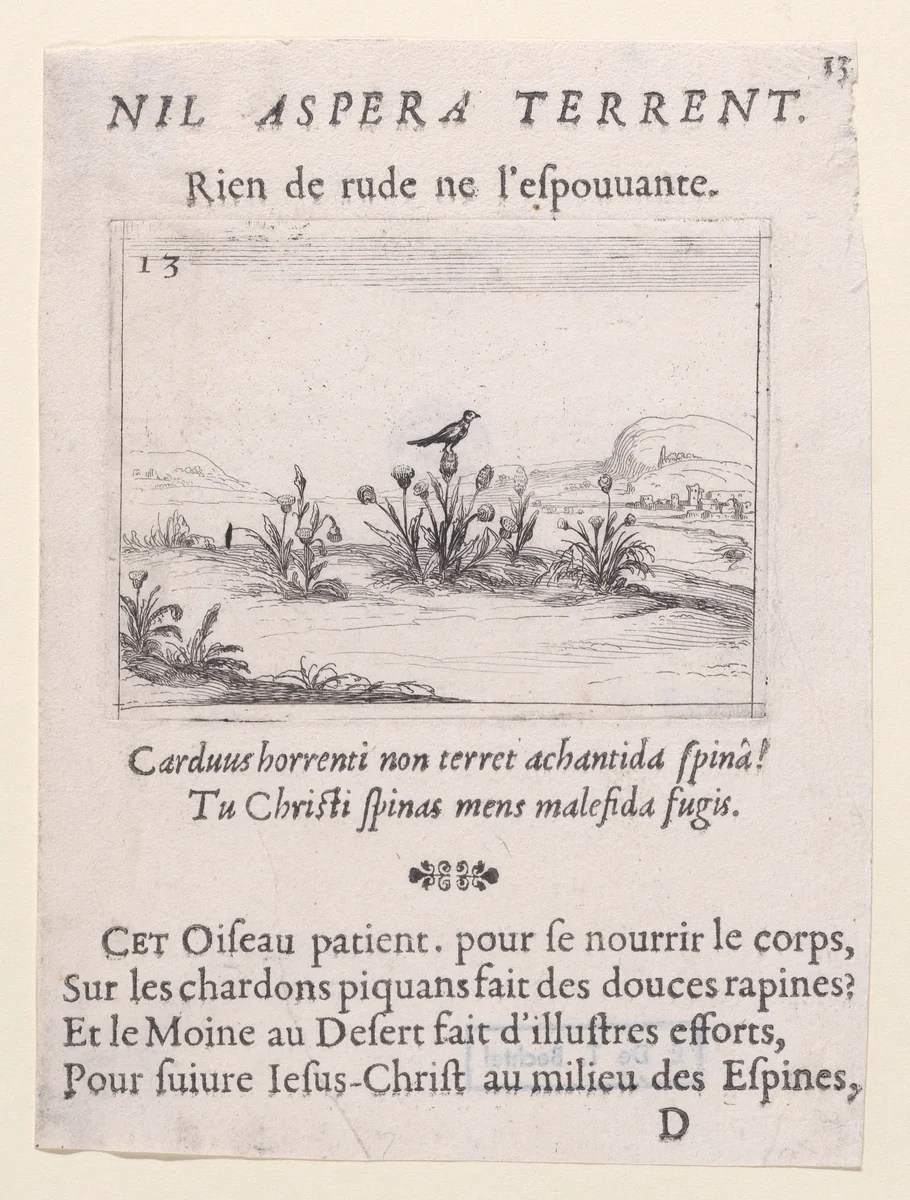 L'Oiseau Posé sur un Chardon en Fleurs (The Bird Standing on Thistle Flower), plate 13 from "Lux Claustri ou La Lumière du Cloitre" (The Light of the Cloisters) by Jacques Callot, print, 1625-1631