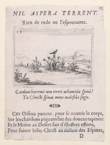 L'Oiseau Posé sur un Chardon en Fleurs (The Bird Standing on Thistle Flower), plate 13 from "Lux Claustri ou La Lumière du Cloitre" (The Light of the Cloisters) by Jacques Callot, print, 1625-1631