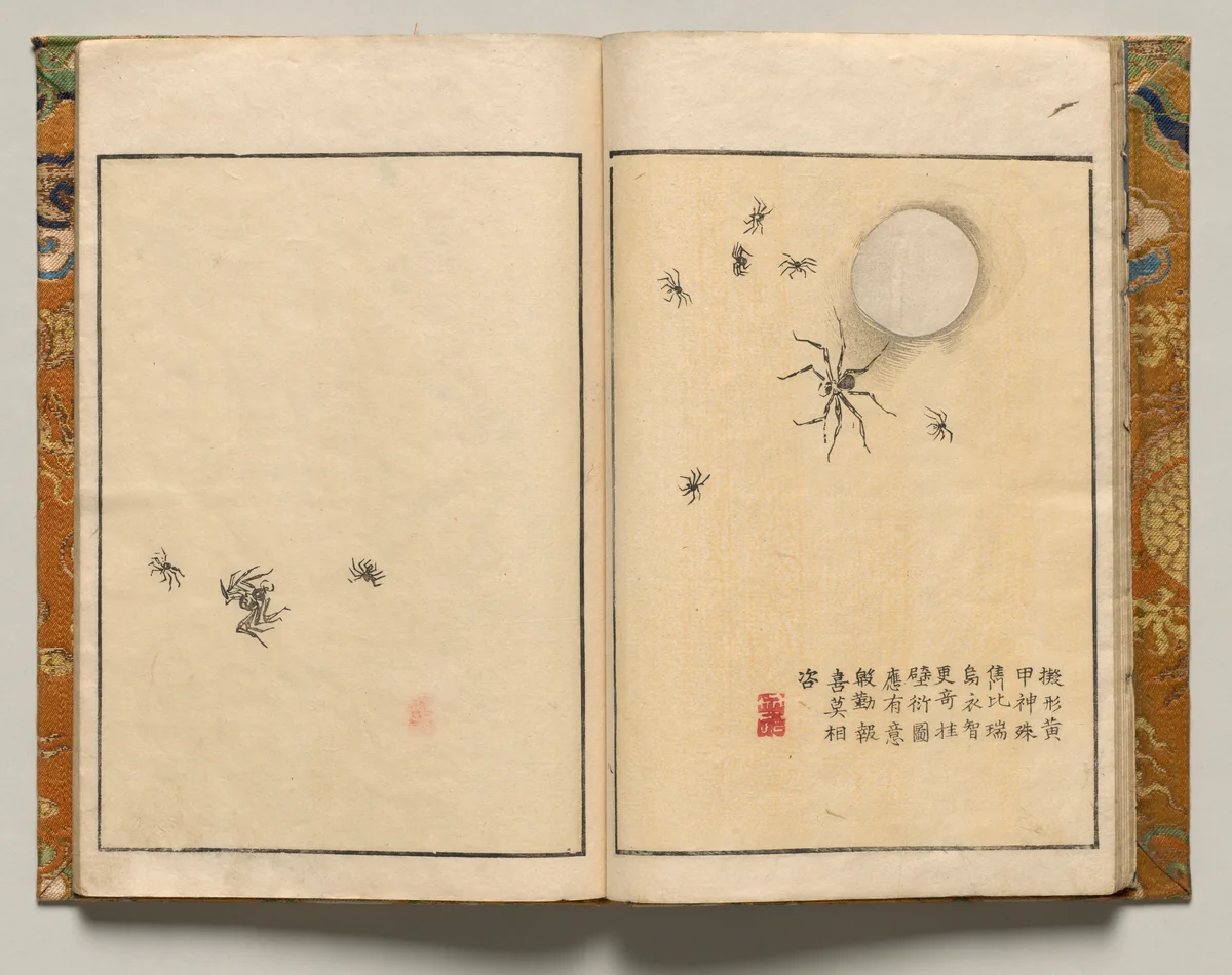 Spiders with Commentary, Design Eight from Shazanrō Picture Book by Tani Bunchō (谷文晁), book, 1816