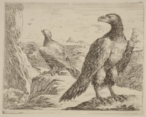 Two Eagles, Both with Heads Turned to the Left by Stefano della Bella, print, 1610-1664