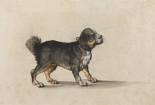 A Mastiff with a Gold-Tooled Collar by Jakob Walther, drawing, 1564-1604