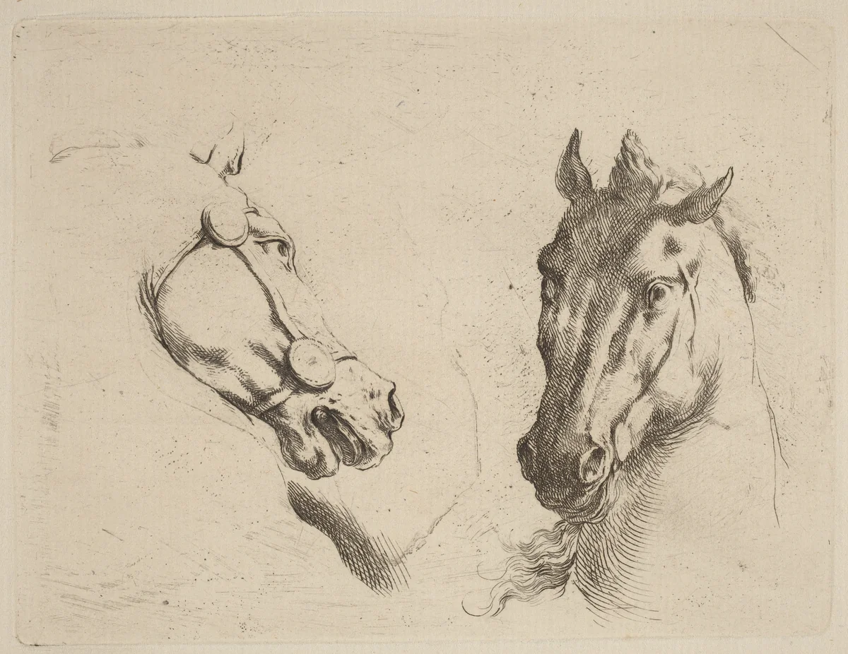 Head of a Horse Seen in Profile and in Three-Quarters by Stefano della Bella, print, 1610-1664