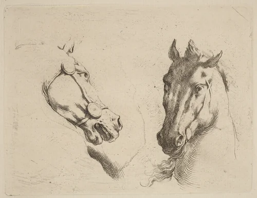 Head of a Horse Seen in Profile and in Three-Quarters by Stefano della Bella, print, 1610-1664