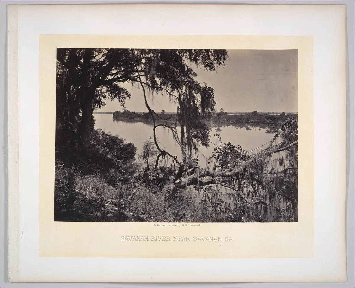 Savannah River, near Savannah, Georgia by George N. Barnard, photograph, 1866
