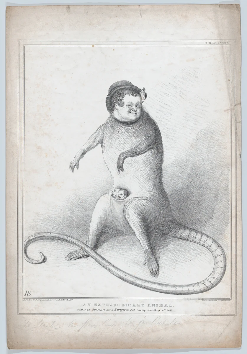 An Extradordinary Animal. Neither an Opossum nor a Kangaroo but having something of both by John Doyle, print, 1835