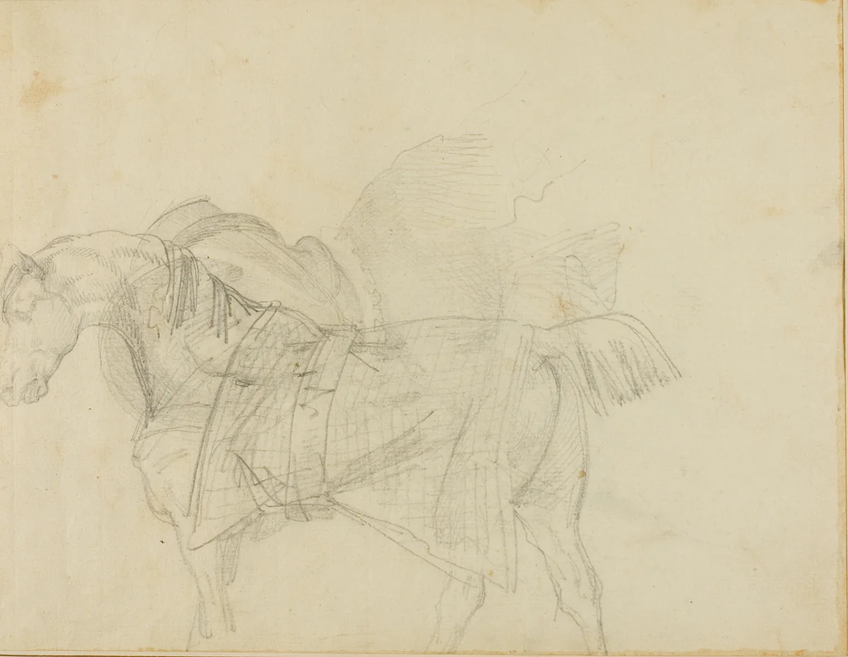 Horse Wearing a Blanket by Jean Louis André Théodore Géricault, drawing, 1818-1819