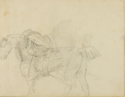 Horse Wearing a Blanket by Jean Louis André Théodore Géricault, drawing, 1818-1819